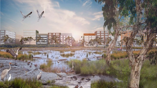 Artists impression of biodiversity sensitive urban design in Fishermans Bend, Melbourne, Australia. This image, depicting a large, biodiverse green open space was produced in consultation with Mauro Baracco, Catherine Horwill and Jonathan Ware (RMIT University School of Architecture and Design).